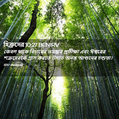 Picture 02 - হিব্রুদের 10:27 BENIRV - কেবল থাকে বিচারের - Bible Verse Picture