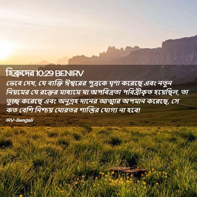 Picture 02 - হিব্রুদের 10:29 BENIRV - ভেবে দেখ, যে - Bible Verse Picture
