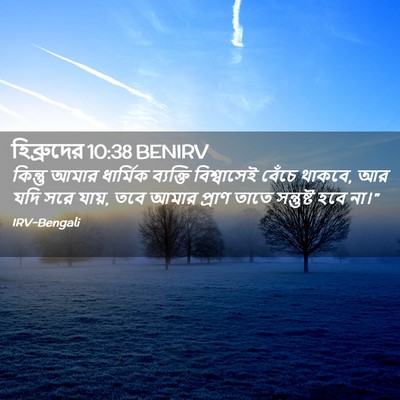 Picture 02 - হিব্রুদের 10:38 BENIRV - কিন্তু আমার - Bible Verse Picture