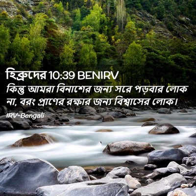 Picture 02 - হিব্রুদের 10:39 BENIRV - কিন্তু আমরা - Bible Verse Picture