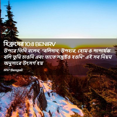 Picture 02 - হিব্রুদের 10:8 BENIRV - উপরে তিনি বলেন, - Bible Verse Picture