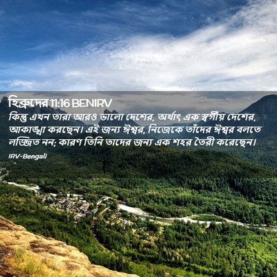Picture 02 - হিব্রুদের 11:16 BENIRV - কিন্তু এখন তারা - Bible Verse Picture