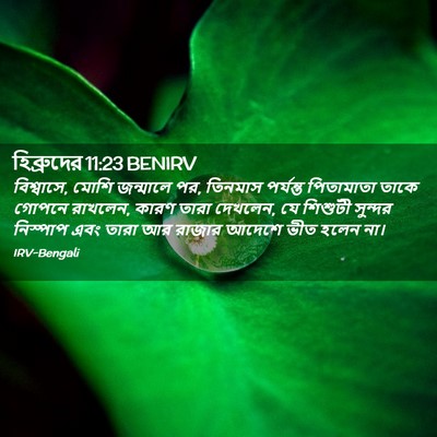 Picture 02 - হিব্রুদের 11:23 BENIRV - বিশ্বাসে, মোশি - Bible Verse Picture