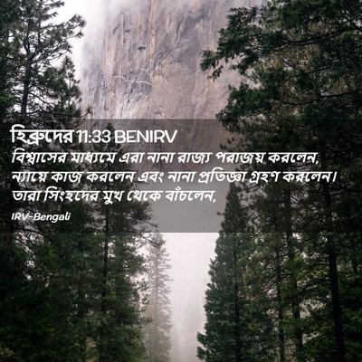 Picture 02 - হিব্রুদের 11:33 BENIRV - বিশ্বাসের মাধ্যমে - Bible Verse Picture