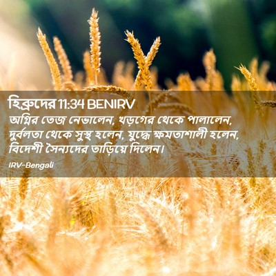 Picture 02 - হিব্রুদের 11:34 BENIRV - অগ্নির তেজ - Bible Verse Picture