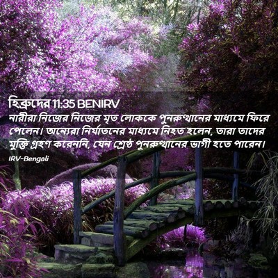 Picture 02 - হিব্রুদের 11:35 BENIRV - নারীরা নিজের - Bible Verse Picture