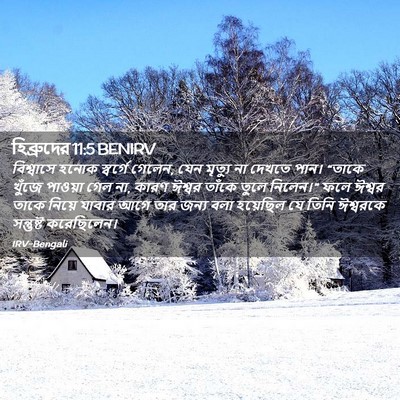 Picture 02 - হিব্রুদের 11:5 BENIRV - বিশ্বাসে হনোক - Bible Verse Picture