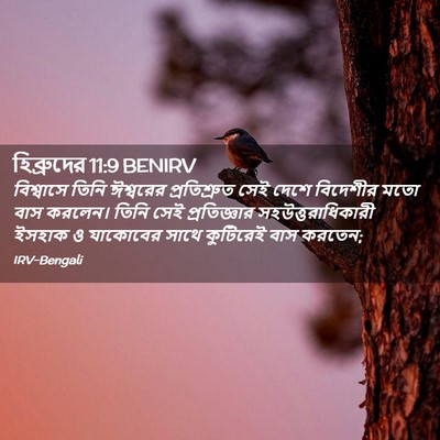 Picture 02 - হিব্রুদের 11:9 BENIRV - বিশ্বাসে তিনি - Bible Verse Picture