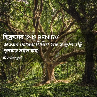 Picture 02 - হিব্রুদের 12:12 BENIRV - অতএব তোমরা শিথিল - Bible Verse Picture