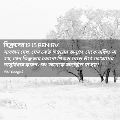 Picture 02 - হিব্রুদের 12:15 BENIRV - সাবধান দেখ, যেন কেউ - Bible Verse Picture
