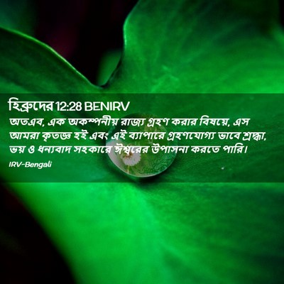 Picture 02 - হিব্রুদের 12:28 BENIRV - অতএব, এক অকম্পনীয় - Bible Verse Picture