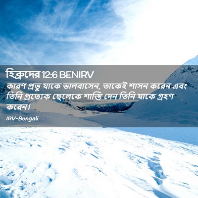 Picture 02 - হিব্রুদের 12:6 BENIRV - কারণ প্রভু যাকে - Bible Verse Picture