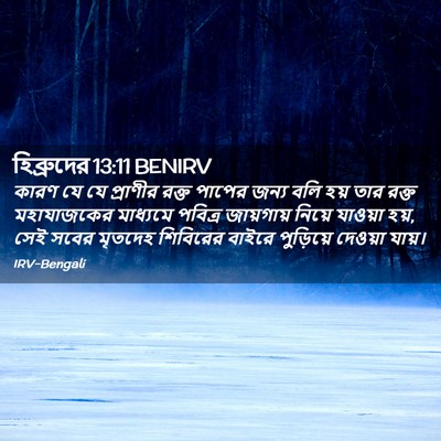 Picture 02 - হিব্রুদের 13:11 BENIRV - কারণ যে যে প্রাণীর - Bible Verse Picture