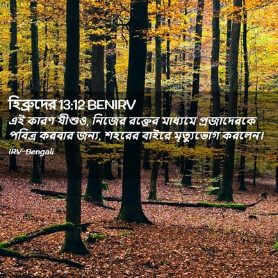 Picture 02 - হিব্রুদের 13:12 BENIRV - এই কারণ যীশুও, - Bible Verse Picture