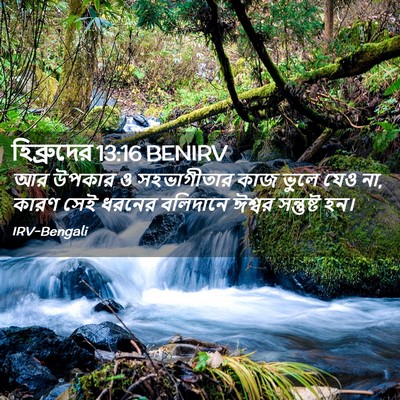 Picture 02 - হিব্রুদের 13:16 BENIRV - আর উপকার ও - Bible Verse Picture