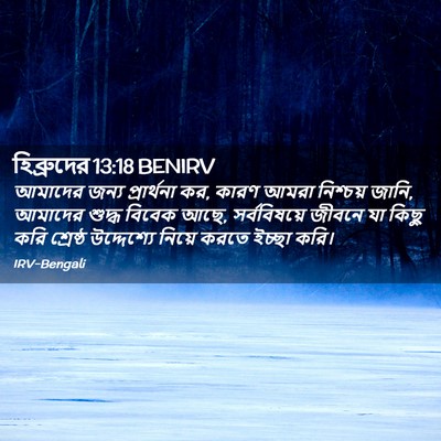 Picture 02 - হিব্রুদের 13:18 BENIRV - আমাদের জন্য - Bible Verse Picture