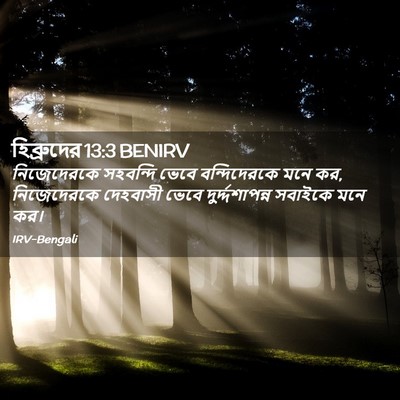 Picture 02 - হিব্রুদের 13:3 BENIRV - নিজেদেরকে সহবন্দি - Bible Verse Picture