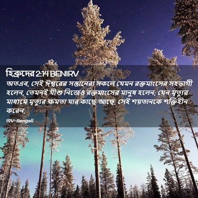Picture 02 - হিব্রুদের 2:14 BENIRV - অতএব, সেই ঈশ্বরের - Bible Verse Picture