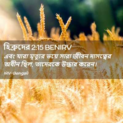 Picture 02 - হিব্রুদের 2:15 BENIRV - এবং যারা মৃত্যুর - Bible Verse Picture