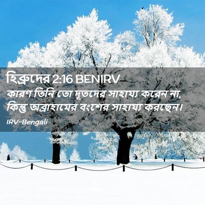 Picture 02 - হিব্রুদের 2:16 BENIRV - কারণ তিনি তো - Bible Verse Picture