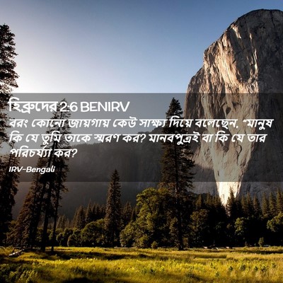 Picture 02 - হিব্রুদের 2:6 BENIRV - বরং কোনো জায়গায় - Bible Verse Picture