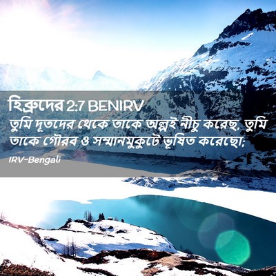 Picture 02 - হিব্রুদের 2:7 BENIRV - তুমি দূতদের থেকে - Bible Verse Picture