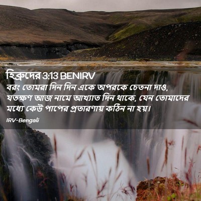 Picture 02 - হিব্রুদের 3:13 BENIRV - বরং তোমরা দিন দিন - Bible Verse Picture