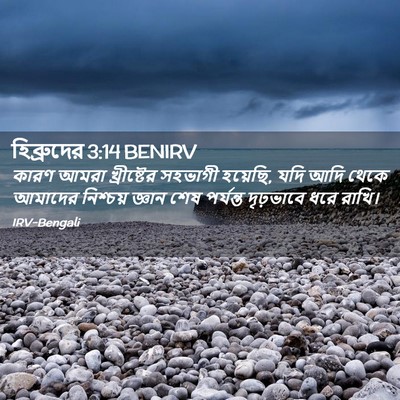 Picture 02 - হিব্রুদের 3:14 BENIRV - কারণ আমরা - Bible Verse Picture