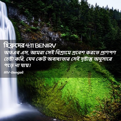 Picture 02 - হিব্রুদের 4:11 BENIRV - অতএব এস, আমরা সেই - Bible Verse Picture