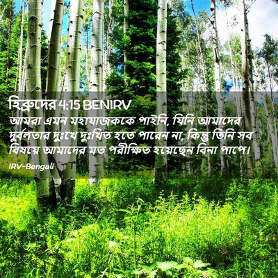 Picture 02 - হিব্রুদের 4:15 BENIRV - আমরা এমন - Bible Verse Picture