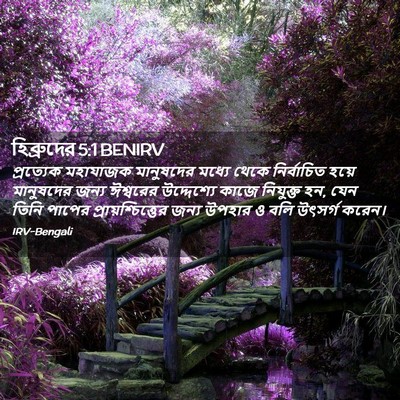Picture 02 - হিব্রুদের 5:1 BENIRV - প্রত্যেক মহাযাজক - Bible Verse Picture