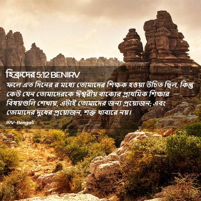 Picture 02 - হিব্রুদের 5:12 BENIRV - ফলে এত দিনের র - Bible Verse Picture