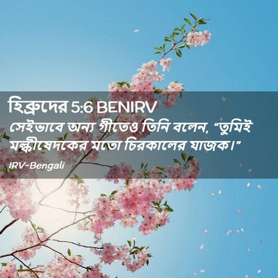 Picture 02 - হিব্রুদের 5:6 BENIRV - সেইভাবে অন্য - Bible Verse Picture