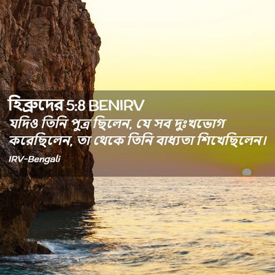 Picture 02 - হিব্রুদের 5:8 BENIRV - যদিও তিনি পুত্র - Bible Verse Picture