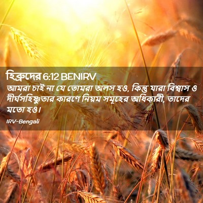 Picture 02 - হিব্রুদের 6:12 BENIRV - আমরা চাই না যে - Bible Verse Picture