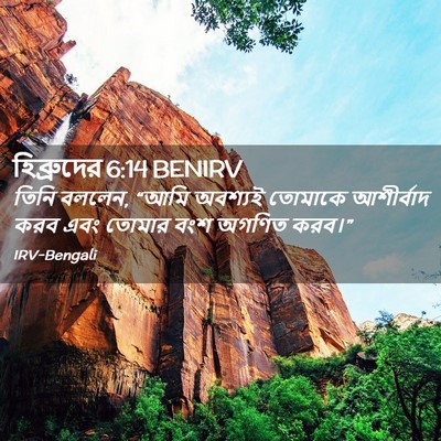 Picture 02 - হিব্রুদের 6:14 BENIRV - তিনি বললেন, “আমি - Bible Verse Picture