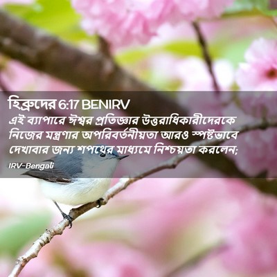 Picture 02 - হিব্রুদের 6:17 BENIRV - এই ব্যাপারে ঈশ্বর - Bible Verse Picture