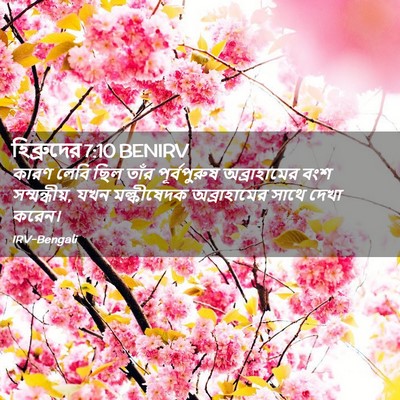 Picture 02 - হিব্রুদের 7:10 BENIRV - কারণ লেবি ছিল তাঁর - Bible Verse Picture
