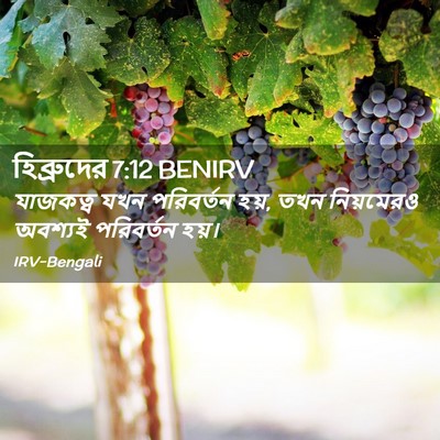 Picture 02 - হিব্রুদের 7:12 BENIRV - যাজকত্ব যখন - Bible Verse Picture
