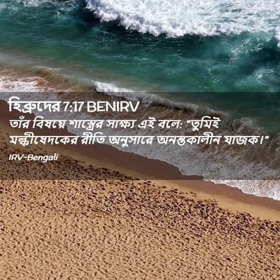 Picture 02 - হিব্রুদের 7:17 BENIRV - তাঁর বিষয়ে - Bible Verse Picture