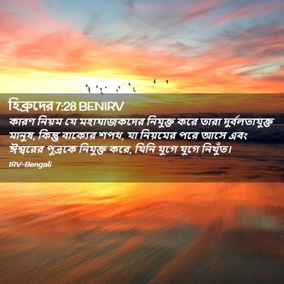 Picture 02 - হিব্রুদের 7:28 BENIRV - কারণ নিয়ম যে - Bible Verse Picture