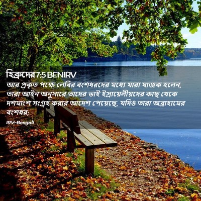 Picture 02 - হিব্রুদের 7:5 BENIRV - আর প্রকৃত পক্ষে - Bible Verse Picture