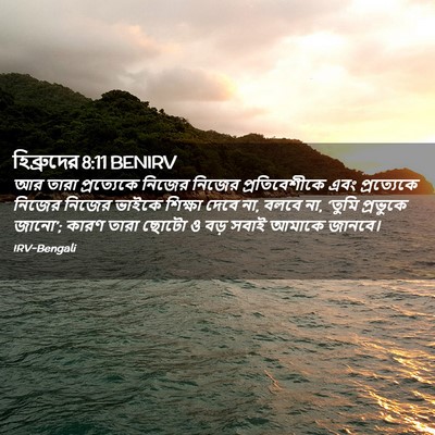 Picture 02 - হিব্রুদের 8:11 BENIRV - আর তারা প্রত্যেকে - Bible Verse Picture
