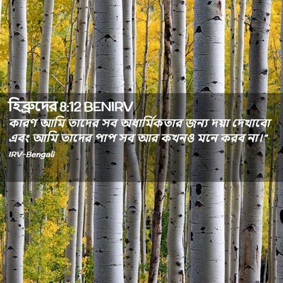 Picture 02 - হিব্রুদের 8:12 BENIRV - কারণ আমি তাদের সব - Bible Verse Picture
