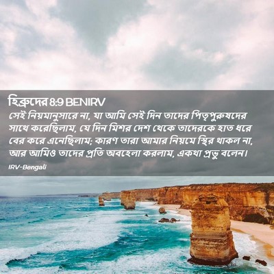 Picture 02 - হিব্রুদের 8:9 BENIRV - সেই নিয়মানুসারে - Bible Verse Picture