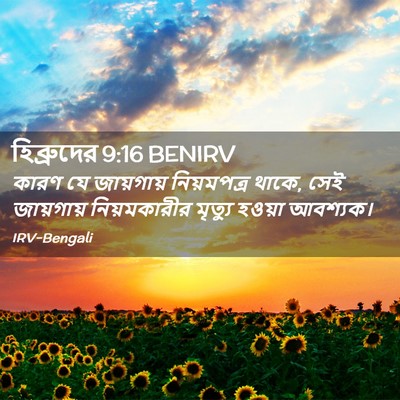 Picture 02 - হিব্রুদের 9:16 BENIRV - কারণ যে জায়গায় - Bible Verse Picture