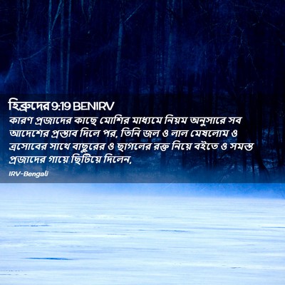 Picture 02 - হিব্রুদের 9:19 BENIRV - কারণ প্রজাদের - Bible Verse Picture