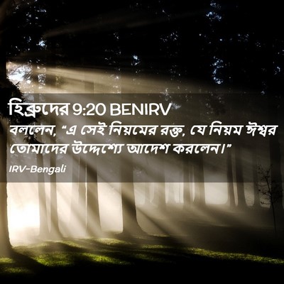 Picture 02 - হিব্রুদের 9:20 BENIRV - বললেন, “এ সেই - Bible Verse Picture