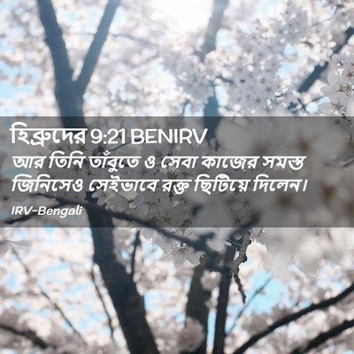 Picture 02 - হিব্রুদের 9:21 BENIRV - আর তিনি তাঁবুতে ও - Bible Verse Picture