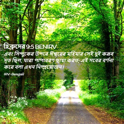 Picture 02 - হিব্রুদের 9:5 BENIRV - এবং সিন্দুকের - Bible Verse Picture
